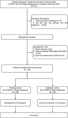 Prognostic nomogram to predict cancer-specific survival with small-cell carcinoma of the prostate: a multi-institutional study